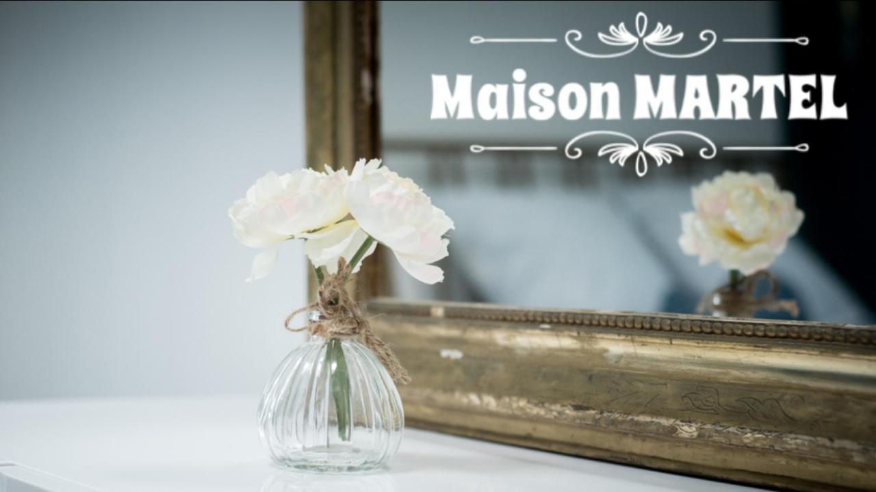 Maison Martel Nimes Centre Climatise מראה חיצוני תמונה